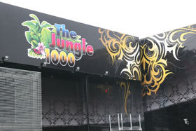 The Jungle　1000